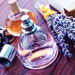 Start a perfume business in Dubai, UAE: Step-by-Step
